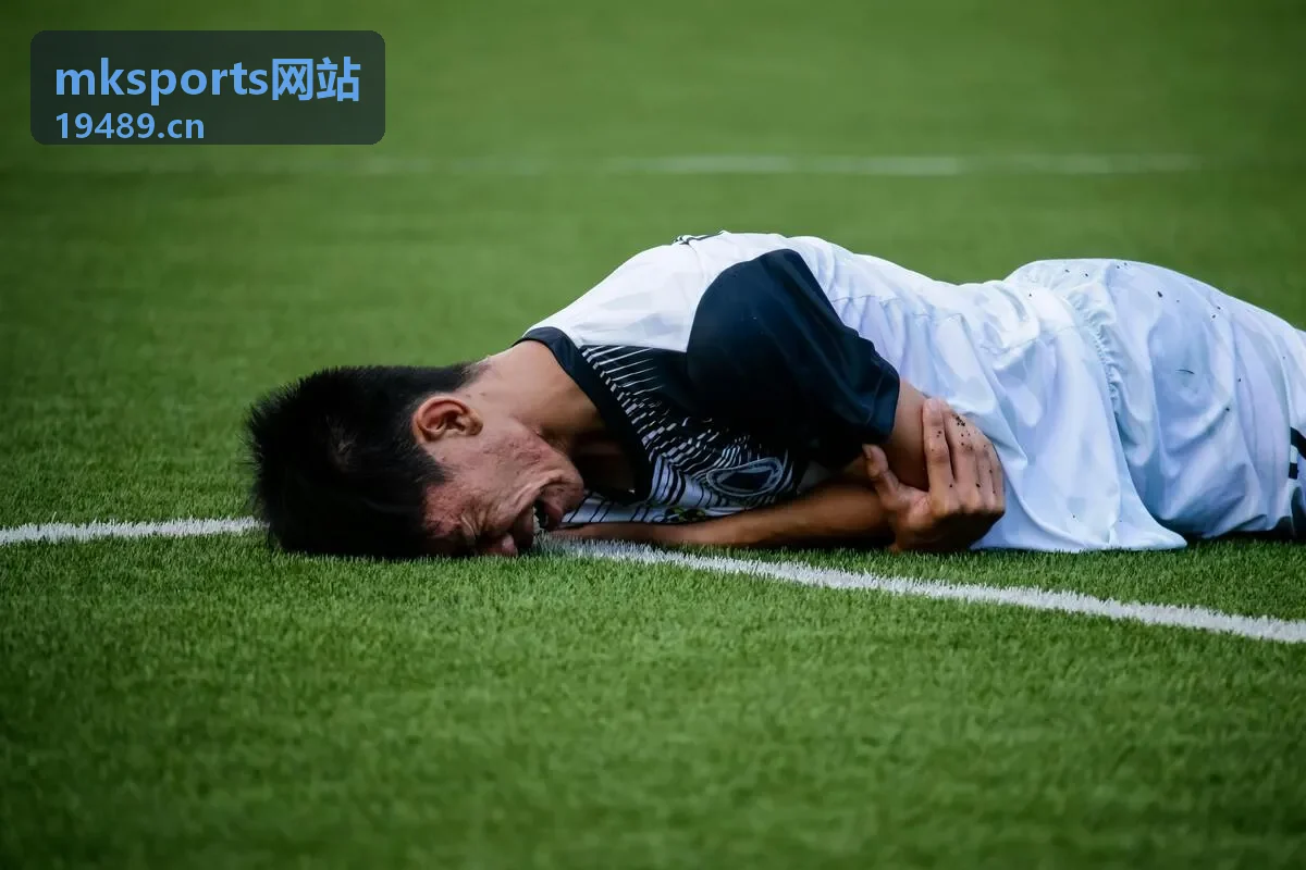 mksports网站服务顾问协助梳理赛事与场馆问题的场景